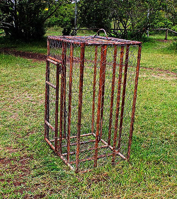 Rusted metal cage