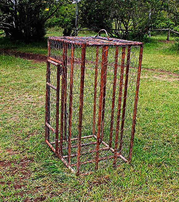 Rusted metal cage