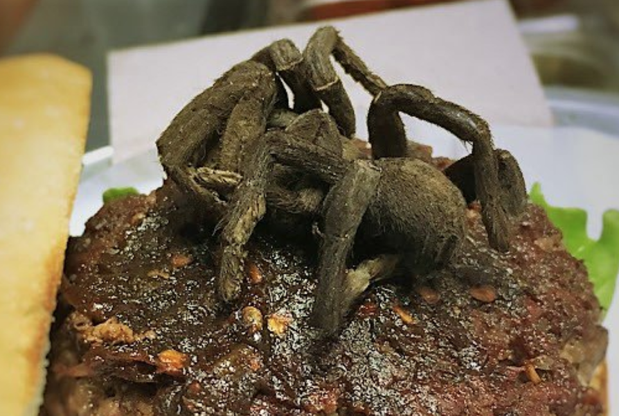 fried tarantula on a stick