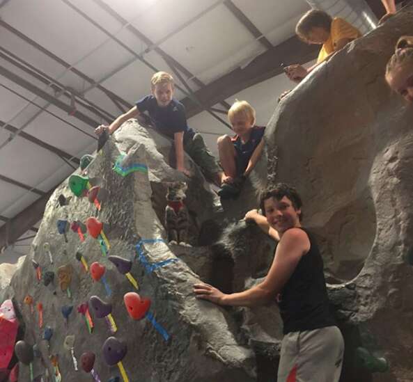 rock climbing cat