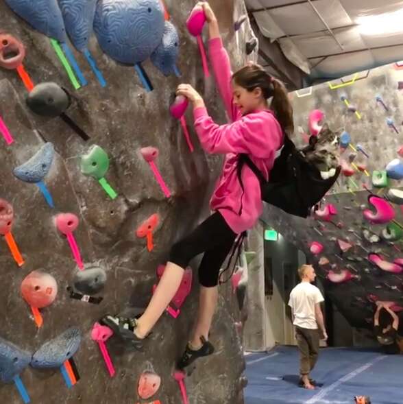 rock climbing cat