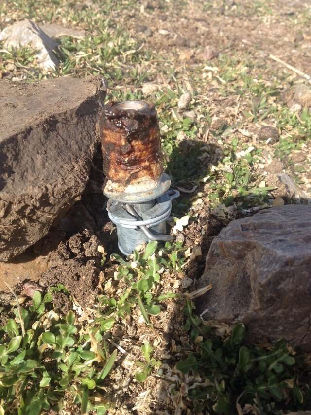 M-44 cyanide device that killed a family dog in Idaho
