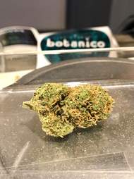 Botanico