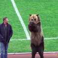 Bear forced to perform at Russian sports game