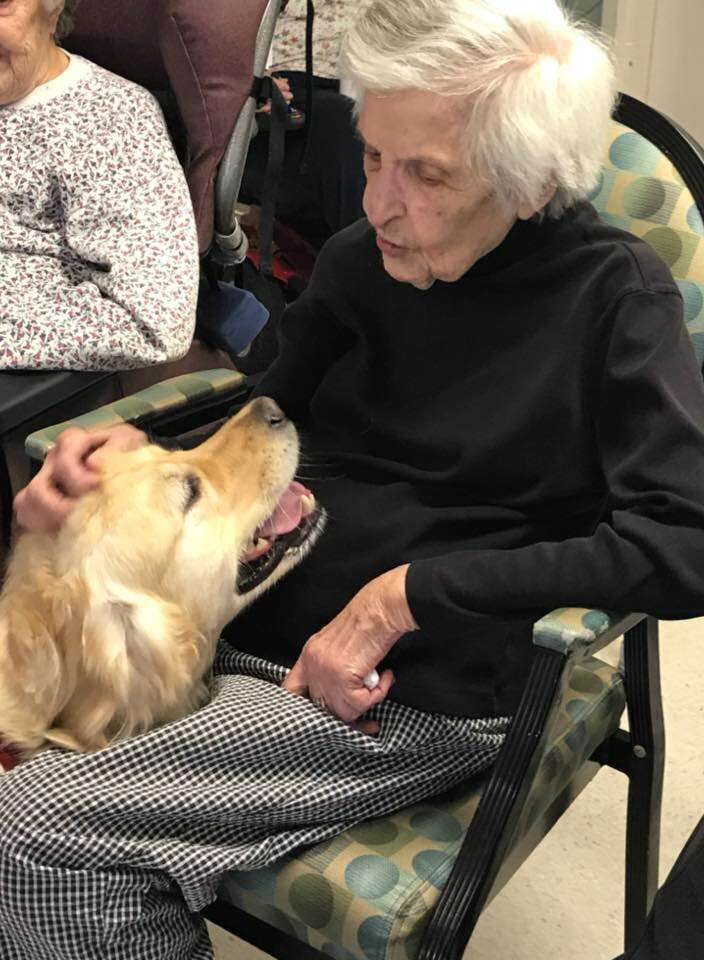 therapy dog nursing home party
