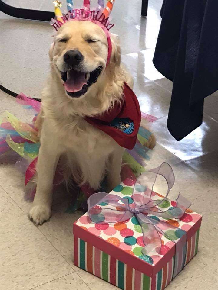 therapy dog nursing home party