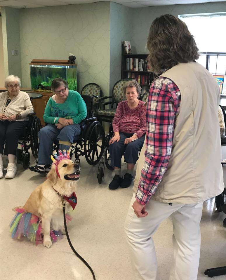 therapy dog nursing home party