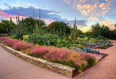 Actually Cool Things to Do Right Now in Phoenix