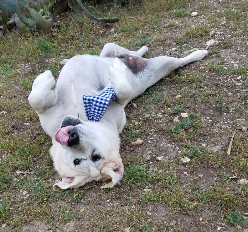 Beaux Tox playing in the backyard of his Austin, Texas, home