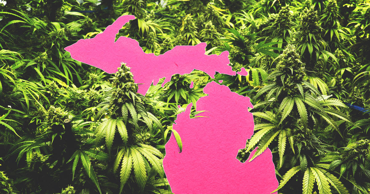 Michigan cannabis company rolls out Lansing's first drive-through  dispensary