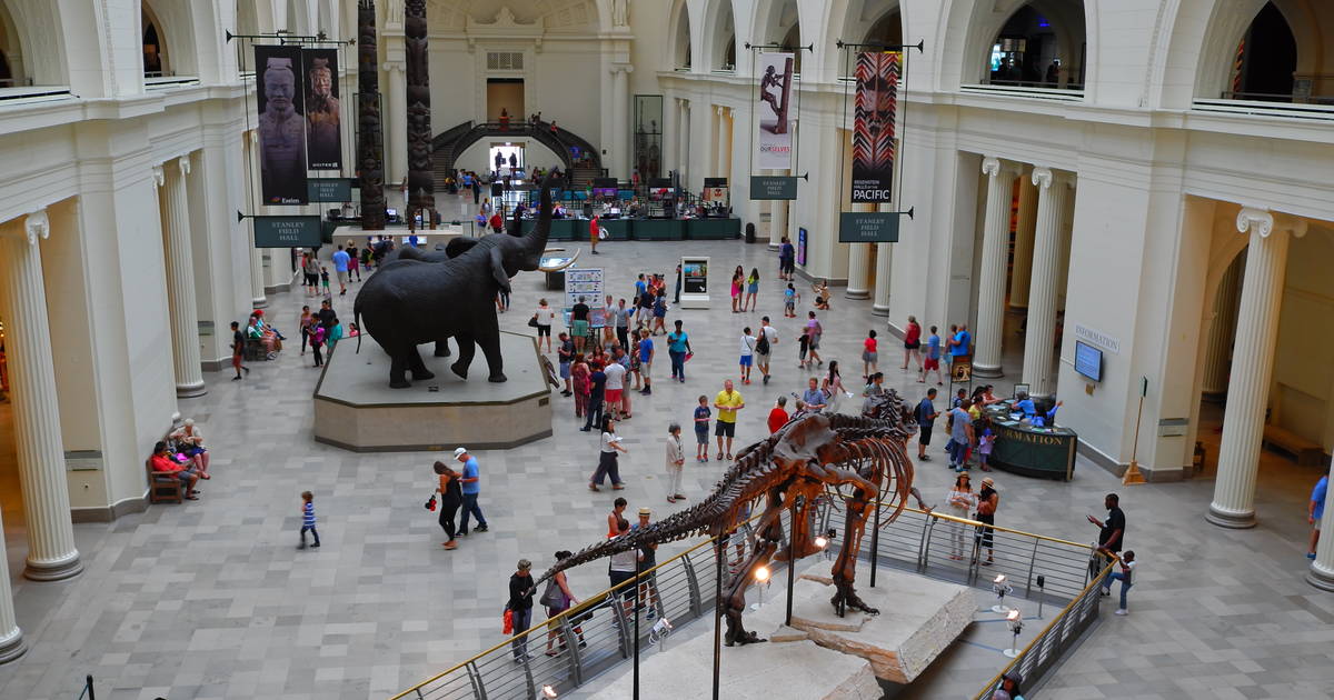 Chicago Locations T-Shirt | Field Museum Store Medium