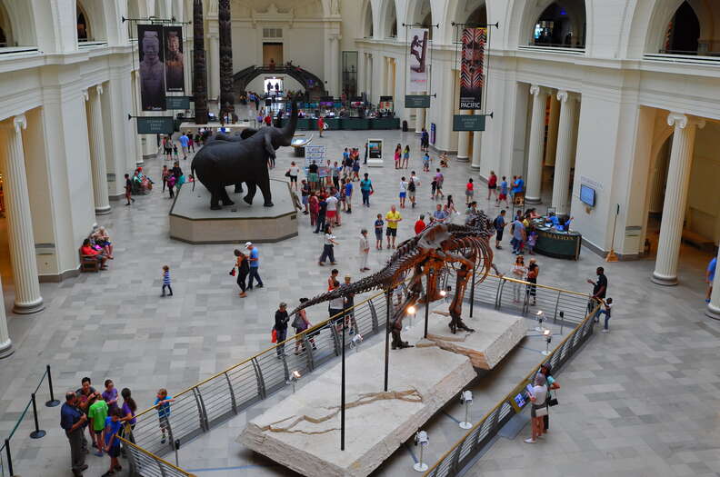 The Field Museum