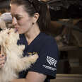 Puppy getting saved from puppy mill