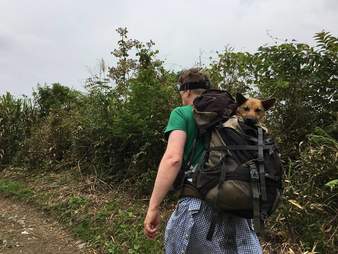 Hiker carrying dog in backpack