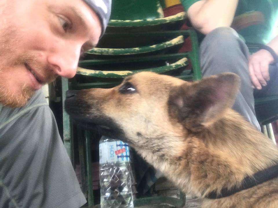 Dog touching noses with hiker