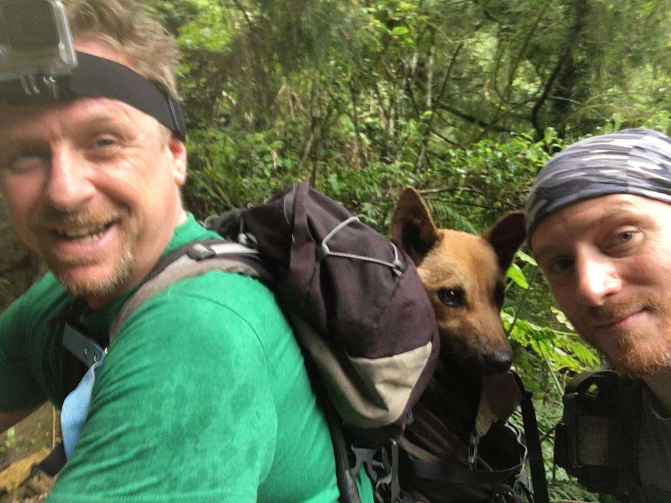 Hikers with dog in their backpack