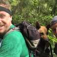 Hikers carrying dog in their backpack