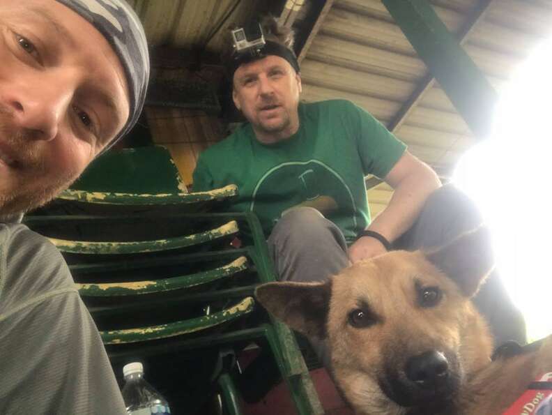 Hikers with rescued dog