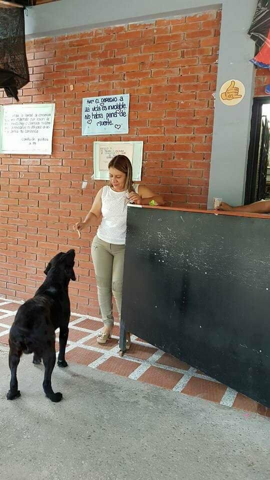 Clever Dog Uses Leaves To Purchase Treats At School Store The Dodo