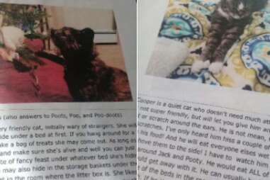 Pictures of cat biographies left for the pet sitter