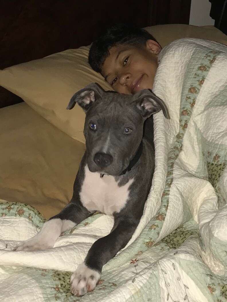 Dog sleeping in bed with boy