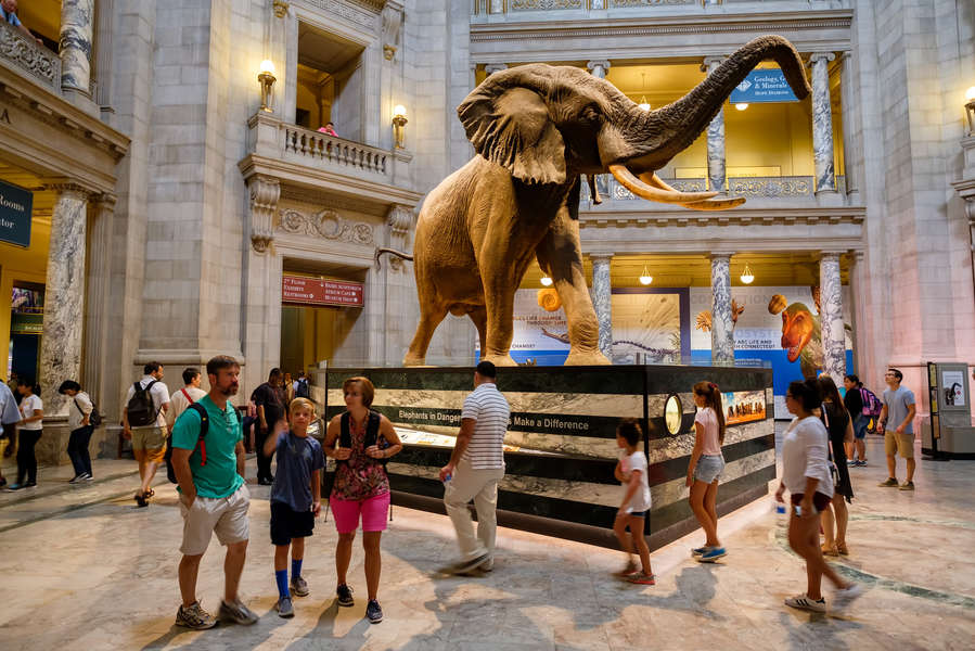 Best Museums in Washington, DC With Exhibits Worth Visiting Thrillist