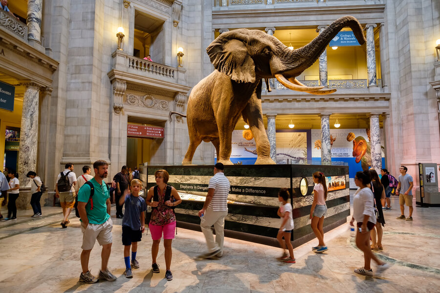 Do-It-Yourself Exhibits  Smithsonian National Museum of Natural History