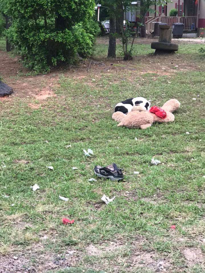 Dog with teddy bear lying on grass