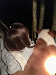 Pit bull guarding lost twins in Udine, Italy