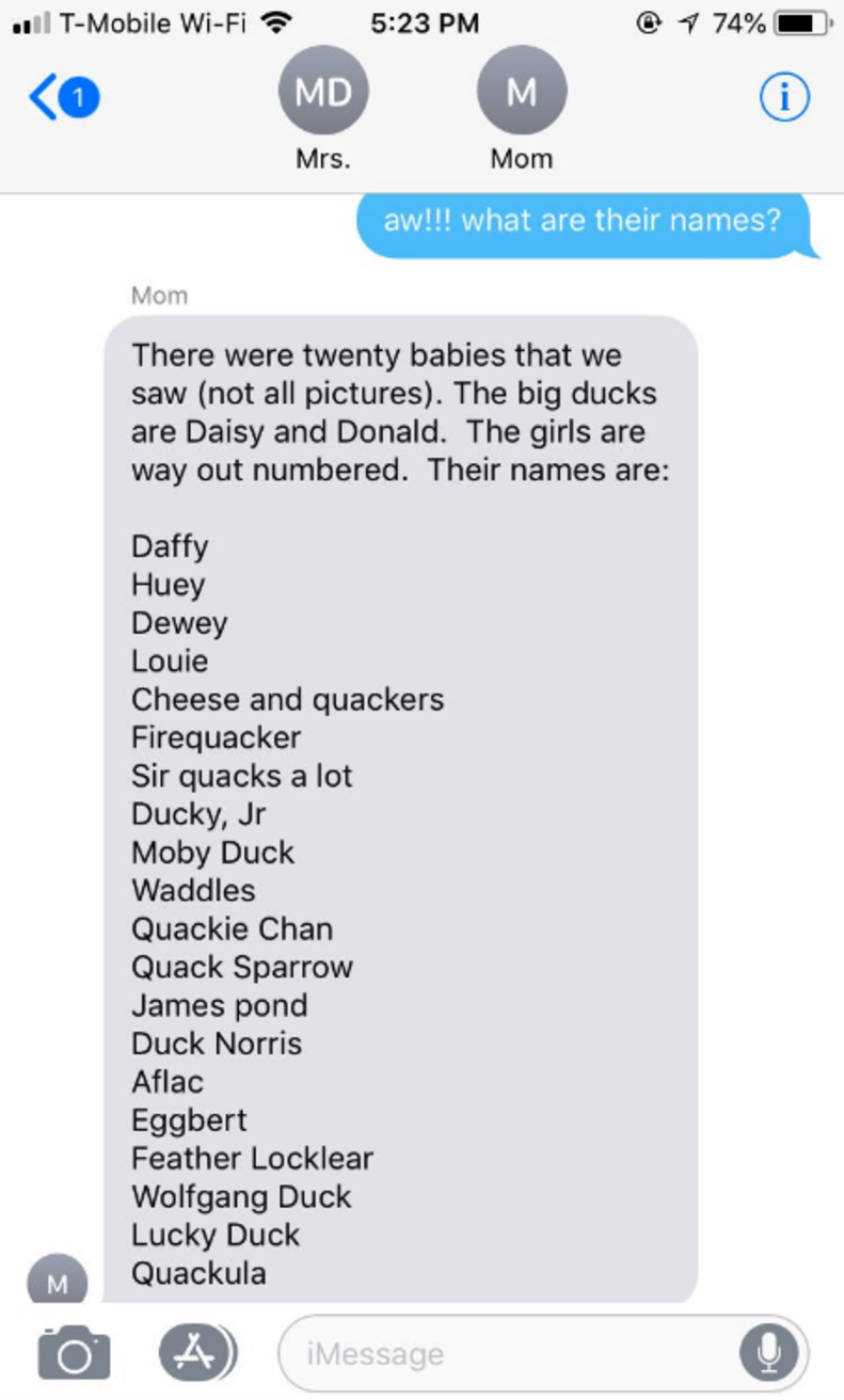 Featured image of post The Best 22 Dodo Bird Names Adopt Me