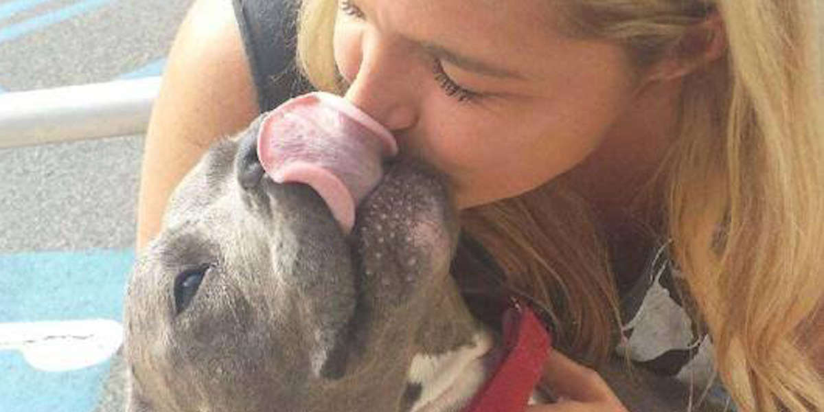 Foster Pup Gets Lost And Finds Her Forever Home - Videos - The Dodo