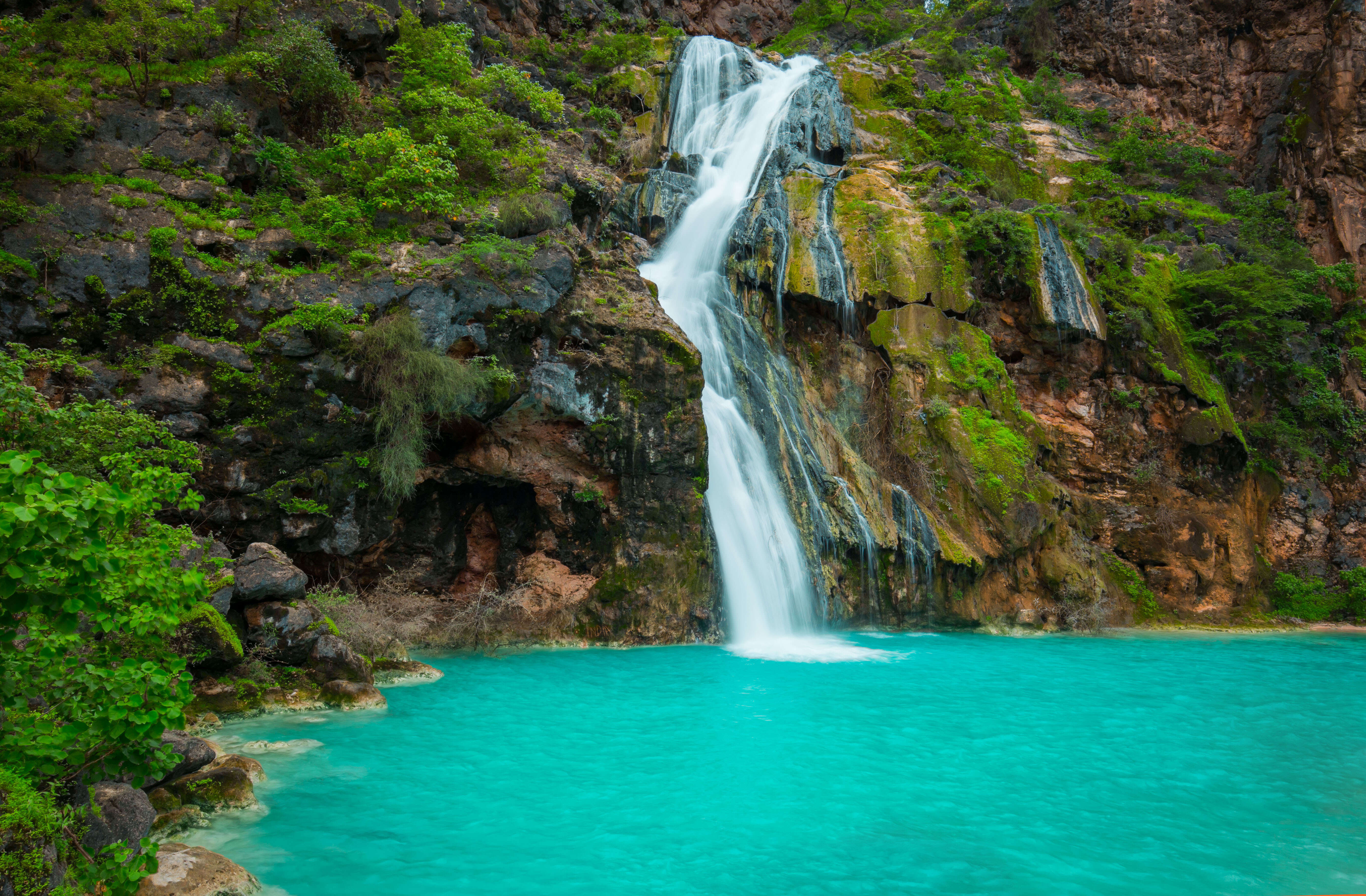 waterfall teal and lush 