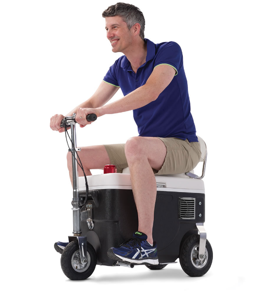 Best Remote Control Coolers to Buy Thrillist