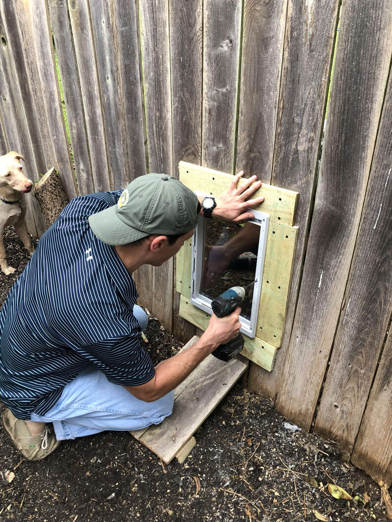 Fence 2025 dog door