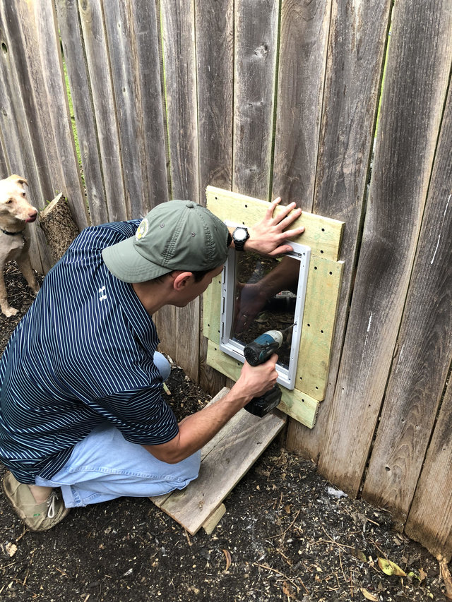 Family Adds Doggy Door To Fence So Dog Can Play With Her Neighbor