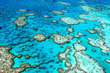 Great Barrier Reef in Australia