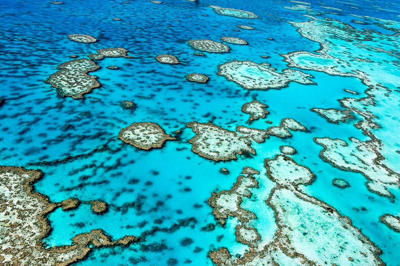 Great Barrier Reef in Australia