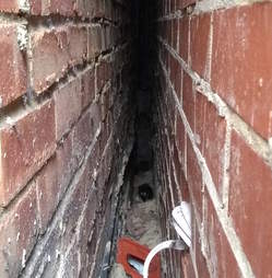 kittens trapped between two walls