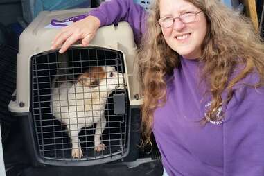 Mirabel being transfer to Woodstock Animal Clinic