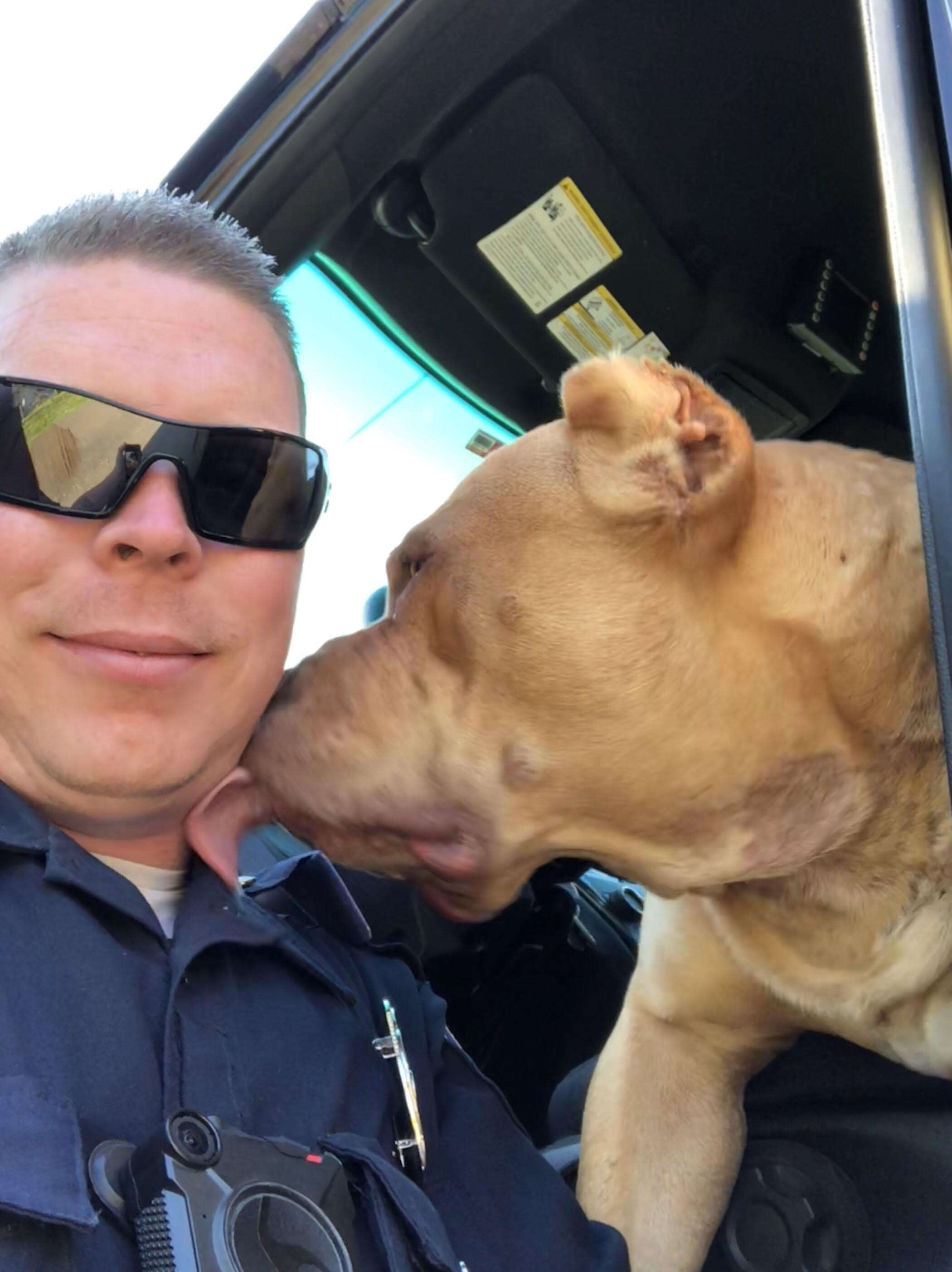 Dog licking officer's face