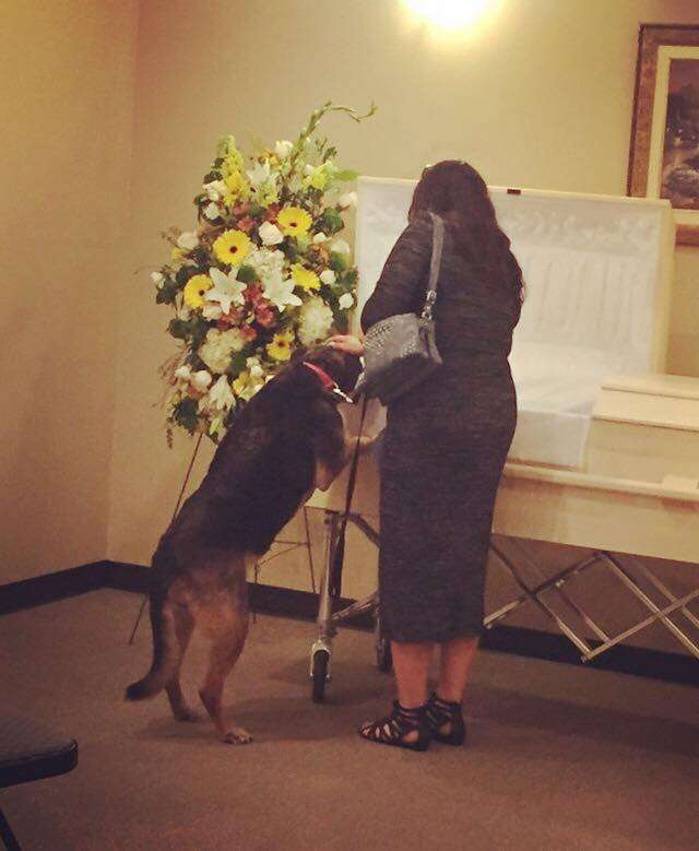 Funeral Home Allows Dog To Say Goodbye To Her Best Friend ...