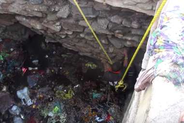 puppy rescued from a well