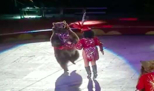 Woman performing with dancing bear