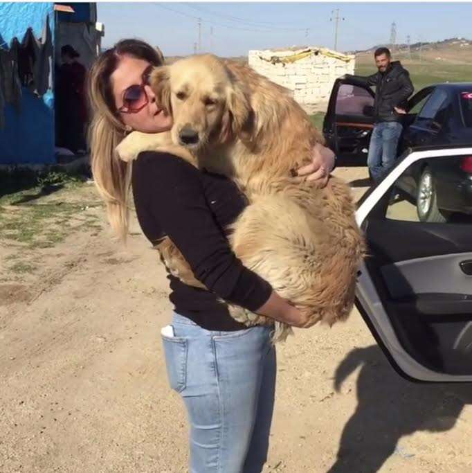 Woman holding rescued dog in her arms