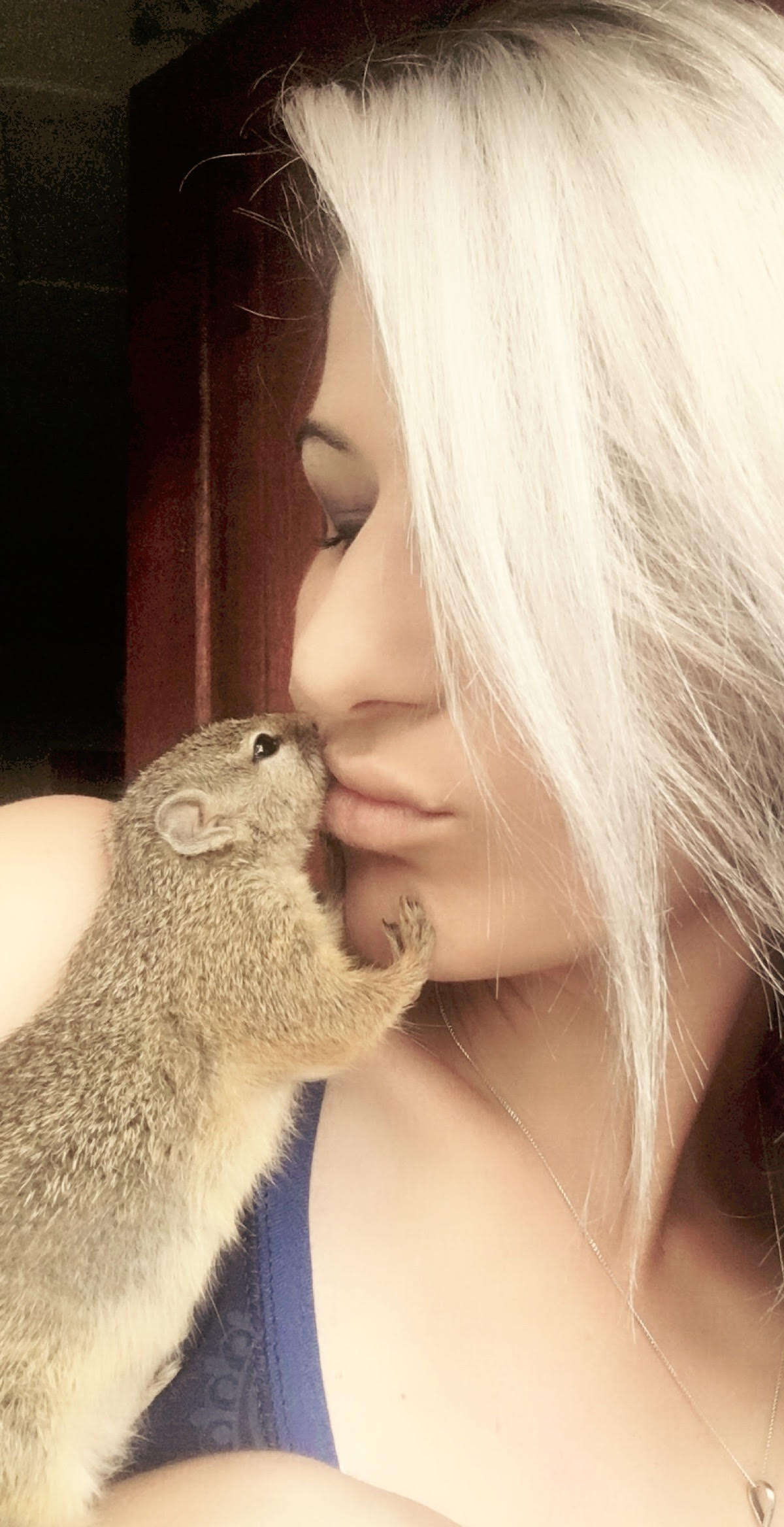 Squirrel kissing rescuer