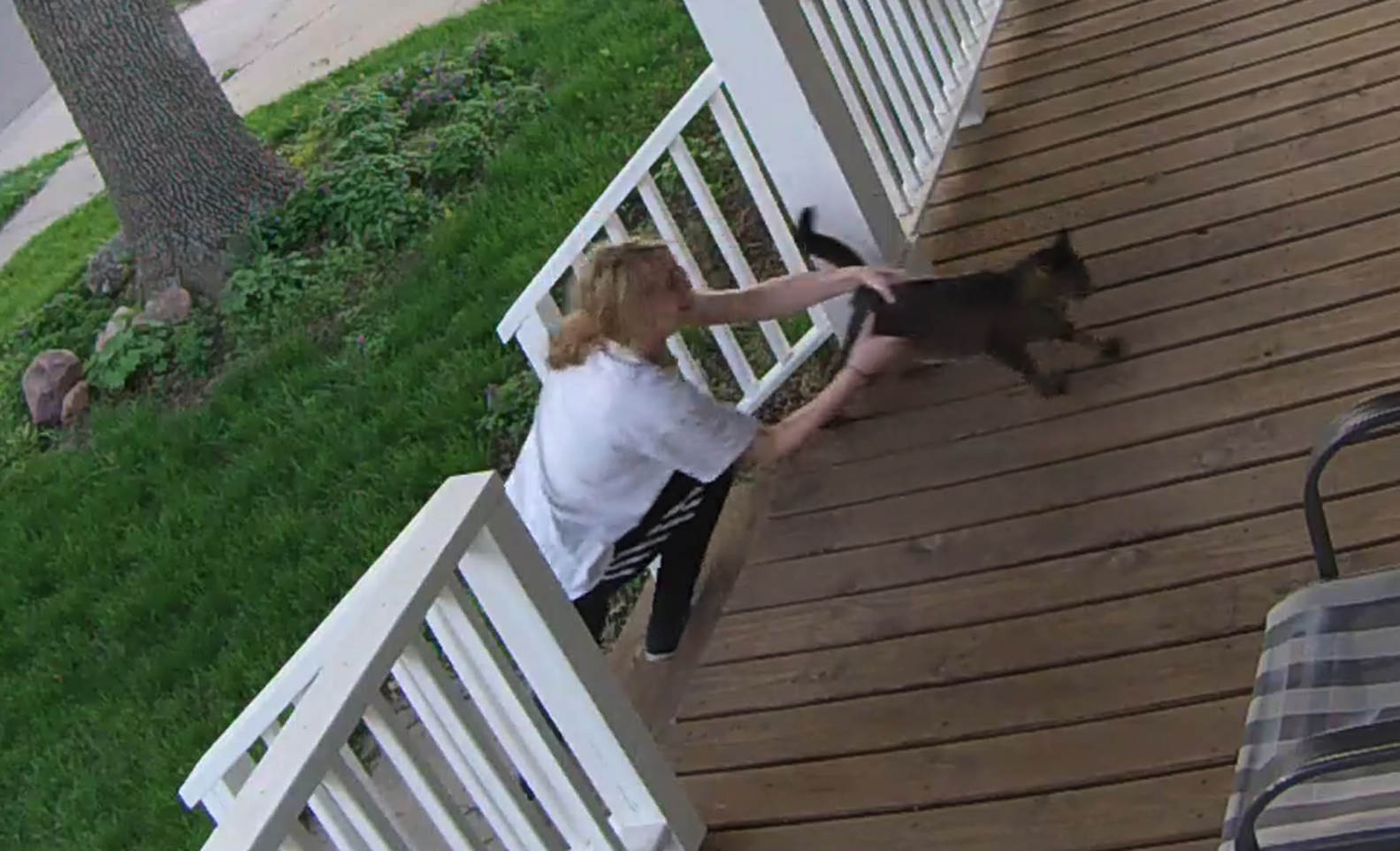 Video Shows Cat Narrowly Escaping Being Kidnapped Off Owner's Porch