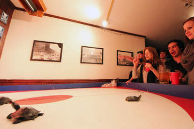 big joe's turtle racing