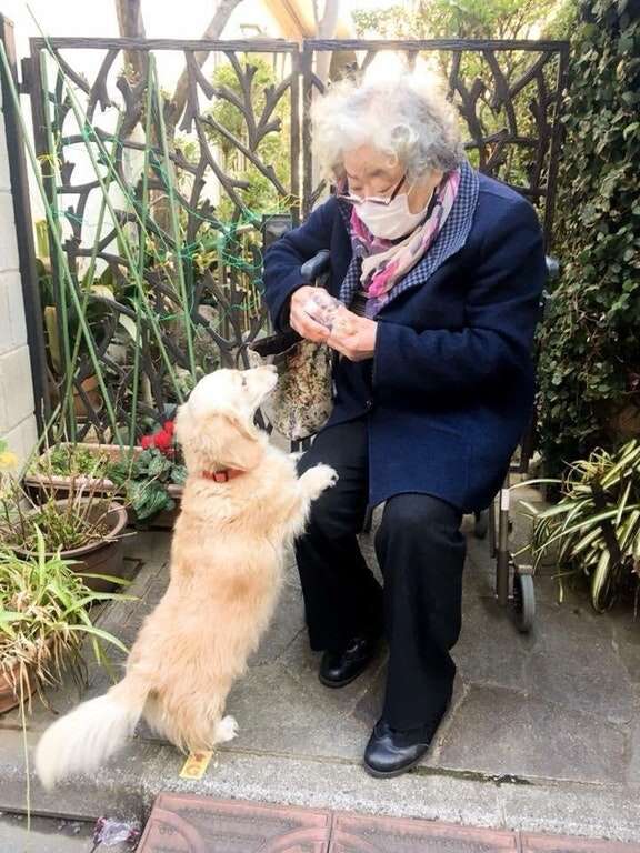 landlord finds out about dog and loves him