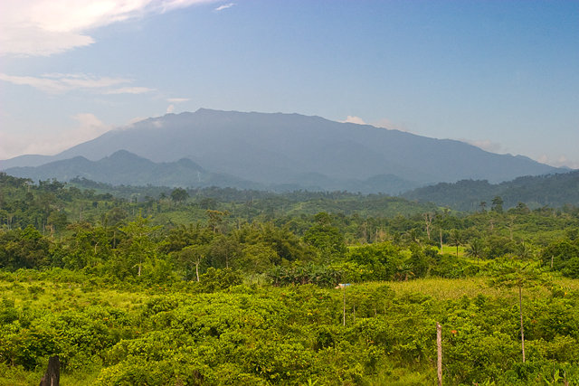 Mount Mantalingajan, on Palawan Island in the Philippines, is a sky island. Image: Wikimedia Commons