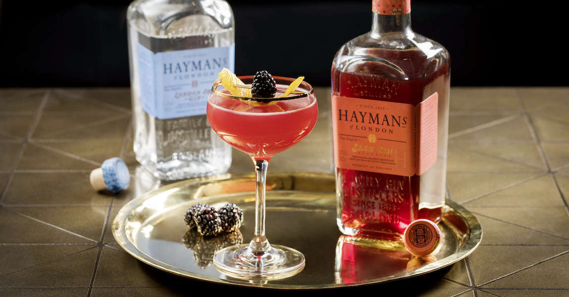 Best Sloe Gin You Can Actually Get in America Thrillist